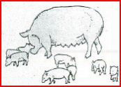 Schweinefamilie